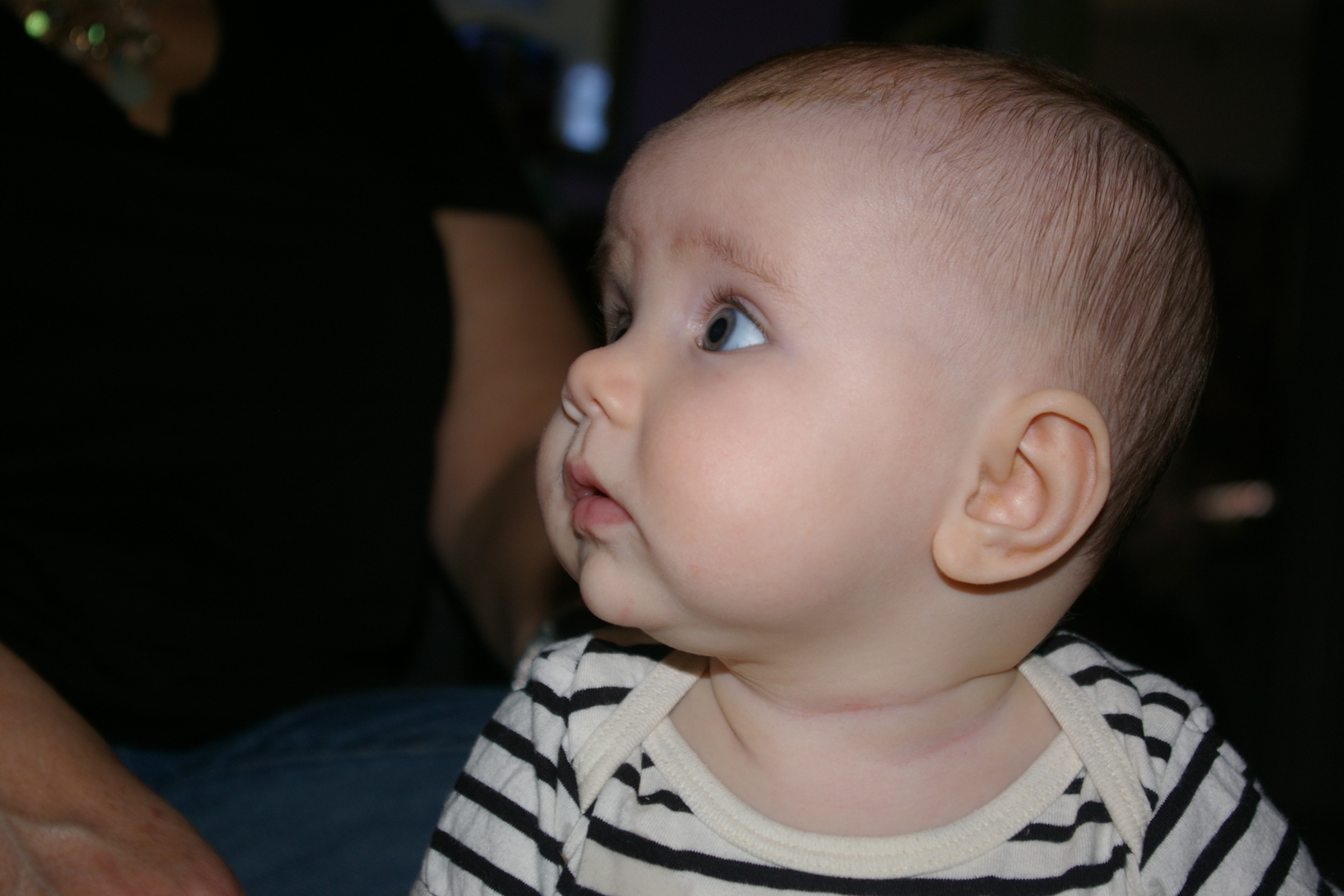 IMGP3586